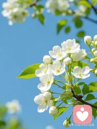 人生没有一蹴而就的高光时刻，
大多时间是默默前行、
等待收获。
前方的路虽远，
只要走的方向正确，
不管多么崎岖不平，
都比站在原地更接近幸福。配图