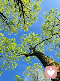 人生没有一蹴而就的高光时刻，
大多时间是默默前行、
等待收获。
前方的路虽远，
只要走的方向正确，
不管多么崎岖不平，
都比站在原地更接近幸福。配图