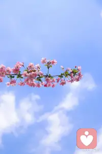 未来一定会很好，即使现在的生活艰辛，你要相信，糟糕的时间里熬过去了就好了，剩下的就是好运气。配图