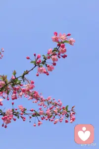 未来一定会很好，即使现在的生活艰辛，你要相信，糟糕的时间里熬过去了就好了，剩下的就是好运气。配图