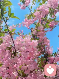 未来一定会很好，即使现在的生活艰辛，你要相信，糟糕的时间里熬过去了就好了，剩下的就是好运气。配图