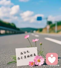 人生，无所谓失去，只怕草率地挥霍，时光静好，心，永远微笑向暖；不假想，不期望，过好每个今天，让日子过得单纯而美好；美好的，留在心底；遗憾的，随风散去，活在当下，且行且珍惜。配图