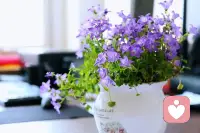 你连几点睡都控制不了，还谈什么控制人生，那些能让你变好的事，最开始也许不容易，但只要坚持，就能成长，别老待在舒适区，越努力，越幸运，自律的程度，决定你人生的高度。配图