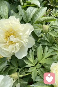 哪有什么天生的幸运，不过是努力藏在了背后；哪有什么突然的逆袭，都是默默的蓄势待发。你的付出，时光都会记得。
别急，别慌，该来的都会来，该到的都会到。山高水长，一切都有最好的安排，慢慢来，反而会更快。配图