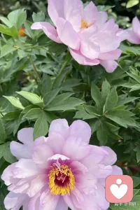 哪有什么天生的幸运，不过是努力藏在了背后；哪有什么突然的逆袭，都是默默的蓄势待发。你的付出，时光都会记得。
别急，别慌，该来的都会来，该到的都会到。山高水长，一切都有最好的安排，慢慢来，反而会更快。配图