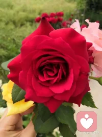 雨天，适合休息！