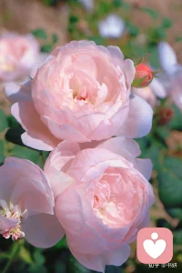 雨天，适合休息！