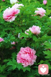 雨天，适合休息！