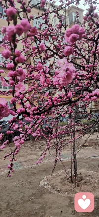 真正治愈你的，从来不是大道理，而是握在手里的踏实
人这一辈子，能治愈你的，从来不是惊天动地的奇迹，也不是别人口中的安慰，而是你自己一点点攒起来的、实实在在的安全感。