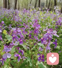 永远不要放弃心里的希望，希望就如一片土壤，能生长出许多美好！不辜负自己，不将就生活，你的存在，配得上世间所有的最好！