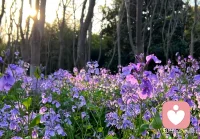 永远不要放弃心里的希望，希望就如一片土壤，能生长出许多美好！不辜负自己，不将就生活，你的存在，配得上世间所有的最好！
