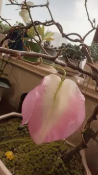 焦慮的本質就是在替你的認知擦屁股。配圖