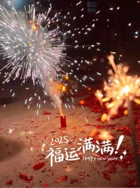 滿懷上一年的熱愛，奔赴下一年的山海，向新的一年出發，愿來年有平安，有幸福，有驚喜，更有好運氣！是新年,亦是新的開始，祝你，祝我，祝我們2025 多喜樂，長安寧。配圖