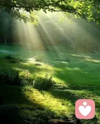 “你不需要成為所有人的避風港，
你只需成為自己心中的光塔。
當你照亮自己時，
自然會引導他人走向光明?！迸鋱D