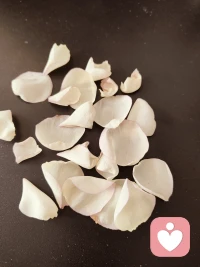 没有一个人，是一座孤岛。不管是生活里，还是工作中，我们每个人都不可避免地要与外界产生联系。配图