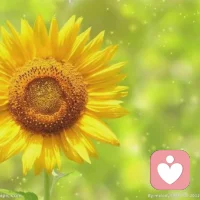 大家好，听居士聊聊 2025年[调皮]
乙巳年整体年运

甲辰万象更新，
乙巳一元初始

乙巳年整体来说大家依旧会有很多压力，
但是迎难而上必有成效，
乙巳年是不能放弃拼搏的一年，
也是为未来积累经验和财富的一年。

相比于甲辰年的动荡，
乙巳年可能更有身不由己之感。
如果说甲辰年是动荡和开创，
乙巳年则是守稳和生长。

乙木为阴木，为花草之木，
代表柔顺，善良，美丽，向阳等，
特点有依附，攀爬，缠绕，弯曲，伪装等。

巳火为蛇，五行为阴火，
有聪明的，多变的，弯曲的，多疑，狡猾，
欺骗等意思。

乙巳纳音为佛灯火，主信仰信念，光明。

所以整体来说乙已年有以下特点：

一、甲辰年各方面新的开始，
在乙巳年需要稳稳扎根，
不急于发展壮大，
更多的则是要找对适合自己的平台，
适应新的规则，慢慢融入。

二、文化传播方面盛行，
更加偏重于慈悲仁爱众生方面的内容，
对于传统礼仪方面的内容也会更受欢迎。
而自私自利，哗众取宠，
作风行为不良的群体则会被时代抛弃。

三、医疗方面，尤其是中医药上，
容易出现大的问题，也会有大的调整。

四、要注意心理健康的问题，
抑郁方面的问题会越来越严重，
自杀轻生方面的事件会越来越多。

五、不要随便投资，
不要盲目相信过高的回报率之类的，
尤其是自己不熟悉的行业。
乙巳年会有更多金融诈骗和圈套。

六、健身、养生，医美方面
赛道发展会比较不错。
如果作为消费者，也不要盲目相信。
赛道好的情况下，
也会出现更多浑水摸鱼滥竽充数的人。

七、宗教世界方面可能有大的冲突。

八、信仰方面，
会出现很多灵修之类的情况，
通过信仰类圈人的新型诈骗手段也会更多，
需要保护好自己的个人信息。

九、想要买房的，
如果不是刚需还可以再等等。

十、健康上要注意
旧病的病灶扩大，脏器发生质变。
注意
呼吸道，肝胆，心脏，肠道，
颈椎，脊椎，膝盖方面的问题。配图