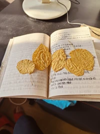 不要用力的走向任何人。如果自己不夠強大，就暫時把自己藏起來，去努力改變自己。一定要給自己重塑金身的一個機會。女性一生不僅僅限于婚姻和愛情，我們要成長為一棵參天大樹，而不是攀巖的凌霄花。要在無人問津的地方歷練，在萬人矚目的地方出現。正如作家三毛所說，世間的人和事，來和去都有他的時間，我們只需要把自己修煉成最好的樣子，然后靜靜的等待就好了。人世間起起落落常會出現，我們要學會做一個堅韌的人，將那些失落，那些痛苦，化為前進的動力，而不是讓他們成為束縛我們的枷鎖。所以，能夠沉得住氣，扛得住難，才會在某一天迎來屬于自己的晴天，遇見更美好的自己。配圖