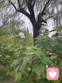 秋风习习
天气舒爽
人到秋天的时候常常容易感到寂凉,最容易多愁善感,曾经的那个身边人在哪里
你是否也有这样的感受