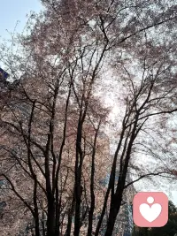 疗愈第7日

一周疗愈，一期圆满。
你已经比昨天更强大、更温柔、更从容。
往后余生，向内扎根，向外发光，
好好生活，慢慢自愈。配图