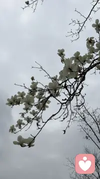 把焦虑还给风，把疲惫还给夜。
守住内心的秩序，
便拥有了对抗世事无常的从容。配图