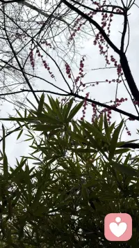 疗愈第1日

和自己好好打个招呼，
允许疲惫，允许难过，允许不完美。
从今天起，好好爱自己，是终身浪漫的开始。配图