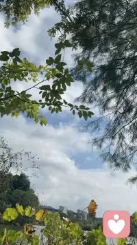 疗愈第5日

与自己和解，与世界温柔相处。

那些过不去的，都会慢慢过去。

你很好，你值得被爱，也值得被温柔以待。