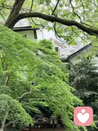 恐惧型依恋
想靠近又怕受伤，想推开又舍不得，你永远在爱里反复拉扯。
别人对你好，你第一反应不是开心，是警惕、是怀疑、是想逃；
别人一旦冷淡，你又陷入焦虑、自我否定，拼命想抓住。
你嘴上说着无所谓，心里比谁都渴望被坚定选择；
你装作毫不在意，其实每一次靠近都鼓足勇气，每一次退缩都满是委屈。
既渴望亲密，又恐惧亲密，在靠近与疏离之间反复横跳，
把真心藏起来，把脆弱封起来，最后只剩自己独自内耗。
你不是难相处，只是太怕被辜负，太怕付出真心后又被丢下。
愿你慢慢卸下防备，敢爱也敢被爱，不用再在爱里患得患失。