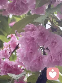 针对当代人常见的情绪内耗、焦虑、自我怀疑、
关系压力、身心失衡等问题，
做一对一深度疏导与能量调频。

不鸡汤、不套路、不玄学，
温和、稳定、有力量，
帮你清理卡点、回归平衡、唤醒内在力量。