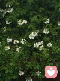 定制身心灵深度疏导 内耗清理 能量整合

一对一专属身心灵梳理，针对内耗、关系卡点、自我否定、
情绪敏感、身心失衡等问题深度调频，
理性疏导+能量疗愈结合，温和且有力量，
帮你清理内在卡点，重建内在平衡与力量。
专业靠谱，注重隐私，用心做好每一次疗愈。