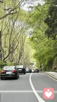 缺爱代偿型依恋
亲爱的，我知道你一直都很努力，努力去爱，努力付出，努力把最好的都给了身边的人。你总以为，只要我对别人足够好，只要我够懂事、够贴心，别人就会留下来，我就能被好好爱着。
可现实往往是，你把自己的爱、时间、精力，毫无保留地代偿给了对方。你习惯忽略自己的需求，压抑自己的感受，把对方的喜怒哀乐，看得比自己还重要。你像一个不停注水的杯子，却忘了给自己留一点余地。
你害怕被拒绝，所以不敢提要求；
你害怕被抛弃，所以拼命讨好迎合；
你害怕失去，所以在关系里小心翼翼，委曲求全。
久而久之，你迷失了。你不再清楚自己喜欢什么，讨厌什么，甚至连开心都变得小心翼翼。你的价值感，完全依附于别人的反馈。对方回消息慢了，你就开始焦虑；对方语气冷了，你就开始自我怀疑。你把自己的安全感，全权交给了一个不确定的人。
这不是爱，这是一场自我消耗的赌局。
你忘了，爱不是靠牺牲和讨好换来的。
你也忘了，你本身，就值得被爱，不需要任何附加条件。
真正的爱，是双向奔赴，是彼此滋养，而不是一方无底线的付出与另一方的理所当然。
从今天起，试着把目光从别人身上收回来，多看看自己。
允许自己偶尔不完美，允许自己偶尔需要被照顾，允许自己“我也很重要”。
你的好，应该留给懂得珍惜你的人，而不是无限消耗你的人。
请记住，
先好好爱自己，才有能力去爱别人；
先安顿好自己的心，才能遇见真正的安稳。
你值得一份平等、健康、笃定的爱，
不用踮脚，不用讨好，
只需做你自己，就很好。