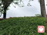 人这一生，最难的不是治愈别人，
而是放过自己，安抚自己。
情绪是灵魂的语言，
它来了，不是为难你，
而是提醒你，该好好抱抱自己了。

不必强迫快乐，也不用压抑难过，
允许一切发生，温柔且坚定地往前走。