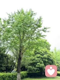 讨好型依恋：你的善良，不该是无界的退让

讨好型依恋，不是“善良”，而是一场以委屈自己为代价的情感乞讨。

他们把“让别人满意”当成生存法则，永远先把自己的需求排在最后。脸上挂着习惯性的微笑，心里藏着“我不能惹你生气”的恐惧。哪怕是被无理索取，也会先道歉，先妥协，总觉得“只要我够懂事、够付出，就不会被抛弃”。

他们是天生的“情绪天气预报员”，能瞬间捕捉到他人情绪的波动，却对自己的感受一片荒芜。把正常需求表达当成“麻烦别人”，坚信“我被需要，才有价值”。他们习惯压抑真实想法，不敢说“不”，害怕冲突，害怕让别人失望，哪怕牺牲休息时间、金钱甚至原则，也要拼命维系那份“和谐”。

这份过度的迎合，往往换来的是理所当然的消耗。你越无底线付出，别人越容易忽略你的边界；你越把自己放得越低，越难被人真正珍惜。他们不是不懂拒绝，而是把“被爱”与“讨好”画成了等号，以为只有牺牲自我，才能换来长久的陪伴。

其实，讨好型依恋的灵魂，都在等一场自我的觉醒。你不必靠取悦他人来证明价值，你的存在本身就值得被爱。学会温和而坚定地说“不”，从拒绝小事开始，慢慢建立边界；学会把目光收回，去滋养自己的生活与热爱，建立属于自己的安全感。

愿你懂得，真正的爱，从不是用退让换来的。把那份对他人的体贴，分一半给自己，你的善良，必须带点锋芒，才能被温柔以待。