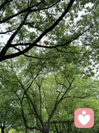 如果你正被情绪内耗、情感伤害、关系拉扯困住
别独自硬撑
我在这里，安静倾听，温柔疏导
帮你理清卡点，找回内在力量
私密、安全、无评判
需要梳理情绪 → 私信【疗愈】配图