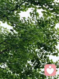 身体替你扛过的那些情绪，终于喊疼了

亲爱的，你有没有发现？当你在工位上皱着眉改方案、憋着气扛压力时，你的肩颈其实比你更“懂事”地在承受一切。

你总以为它是累坏的，其实是它在替你藏起那些没说出口的焦虑。那些深夜的焦虑、对未知的担心、不敢轻易宣泄的委屈，都被你下意识藏在情绪里，却悄悄扎根在肩颈的每一寸紧绷里。

你习惯了挺直脊背扮演“靠谱”的大人，习惯了耸起肩膀硬扛所有难题，可身体从来不会撒谎。它不会替你解决工作的麻烦，却会在你撑到极限时，用酸痛告诉你：“我累了，你也该放过自己了。”

那些僵到转不动的脖子、沉到抬不起来的肩膀，都是身体最诚实的告白——它在心疼那个一直强撑的你。

别再忽略它的信号了。偶尔放下紧绷的神经，给肩膀松松绑，给情绪找个出口透透气。身体不是承载压力的容器，而是陪你好好生活的伙伴，记得好好疼它，它才会陪你更轻松地走过每一段路。配图