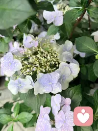 习惯戴着温和的面具迎合所有人，不敢交付真心。害怕被辜负、被冷落，于是慢慢封闭自己。慢慢来，真诚从来都不是软肋，坦然做自己，自有温柔奔赴。配图