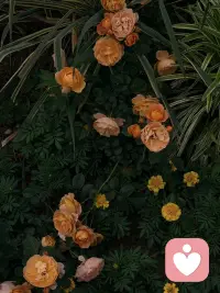 焦虑不是你的错，是大脑在过度保护你。试着对它说：“谢谢你提醒我，但我现在很安全”。