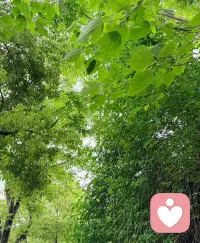❤️专注能量提升，磁场净化，提升好运🍀