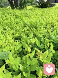 ❤️专注深度疏导：创伤修复、情感陪伴、能量思维提升、磁场净化、提升好运🍀