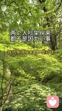 两个人吵架并不是为了争对错

1. 两个人吵架，根本不是因为小事

2. 所有争吵，都是攒够了委屈

3. 成年人的争吵，藏着没说出口的在乎

4. 别再争对错了，吵架的真相太扎心

5. 为什么越爱的人，越容易吵架
