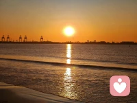 當(dāng)內(nèi)心種下自由和愛好的種子，生命就像陽光一樣釋放著無盡的溫暖和希望的力量。

---胖東來