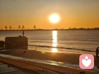 當(dāng)內(nèi)心種下自由和愛好的種子，生命就像陽光一樣釋放著無盡的溫暖和希望的力量。

---胖東來