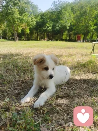 當(dāng)我們有“這些事為什么會(huì)發(fā)生在我身上”的想法時(shí)，

試著把這個(gè)想法變成“發(fā)生在我身上的這些事是想教會(huì)我什么?！? class=