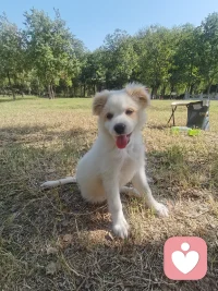 當(dāng)我們有“這些事為什么會(huì)發(fā)生在我身上”的想法時(shí)，

試著把這個(gè)想法變成“發(fā)生在我身上的這些事是想教會(huì)我什么。”