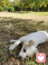 當(dāng)我們有“這些事為什么會(huì)發(fā)生在我身上”的想法時(shí)，

試著把這個(gè)想法變成“發(fā)生在我身上的這些事是想教會(huì)我什么?！? class=