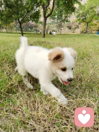 真正限制我們?nèi)松模瑥膩聿皇墙?jīng)濟(jì)上的貧窮，而是認(rèn)知上的困頓。