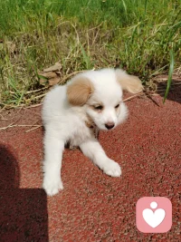 真正限制我們?nèi)松?，從來不是?jīng)濟(jì)上的貧窮，而是認(rèn)知上的困頓。