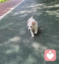 真正限制我們?nèi)松?，從來不是?jīng)濟(jì)上的貧窮，而是認(rèn)知上的困頓。