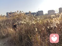 边界不清是投射的结果配图