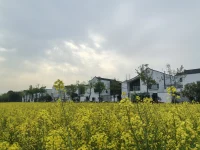 找到自己的天赋和热爱
然后像农民一样思考
坚持长期主义配图