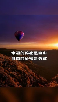 我們判斷一個人的決定是不是自由的，是看他當時有選擇還是沒選擇 —— 而我們判斷他有沒有選擇，是看這個人當時是否做出了思考和推理。悖論：你越理性、越了解情況，就越沒有自由；而如果你非理性行事、莽撞任性，不考慮后果，人們雖然會建議你理性一點，但也不認為你沒有自由。配圖